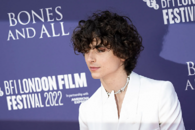 My Quest for Perfect Timothée Chalamet Hair