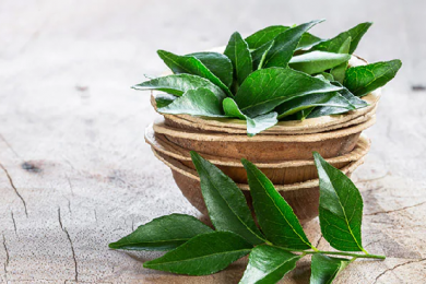 Top 7 Benefits Of Curry Leaves For Healthy, Nourished Hair