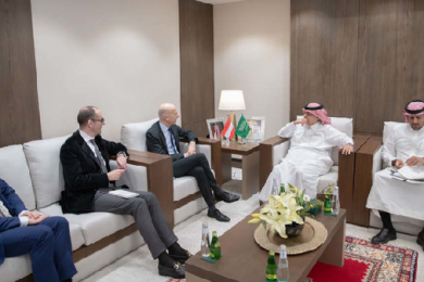 Austrian, Saudi officials discuss business opportunities
